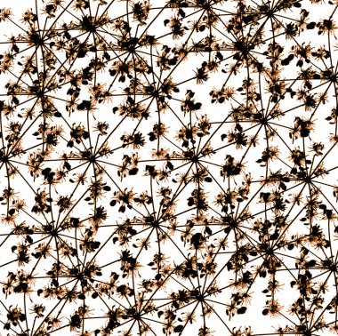 İnek maydanoz doku tekrar modern desen