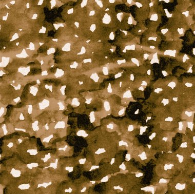 Geometri doku tekrar modern desen