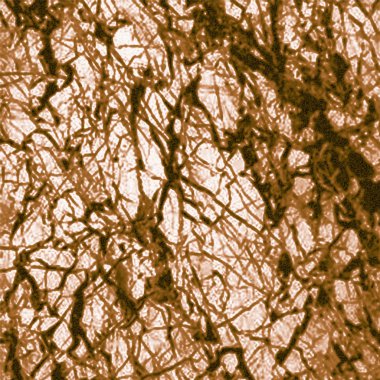 Geometri doku tekrar Klasik desen