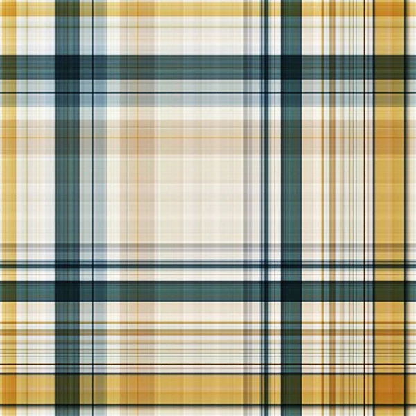 Plaid Comprobar Patrón Repetición Moderna — Foto de Stock