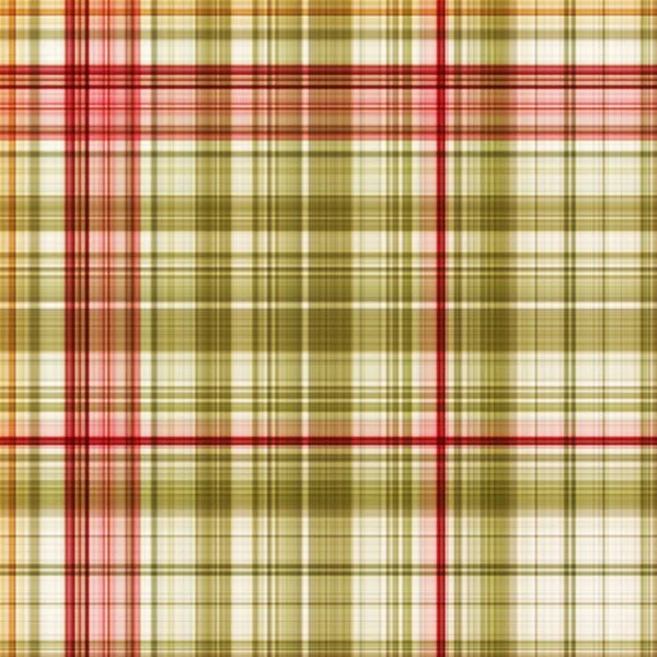 Plaid Check Modern Repeat Pattern — Stock Photo, Image