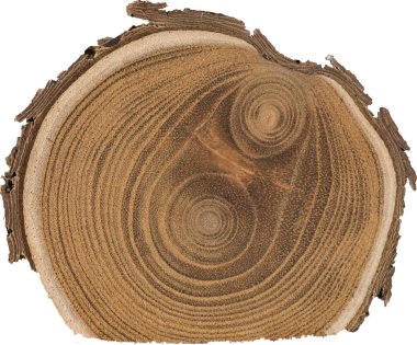 Sandal ağacı temel makro