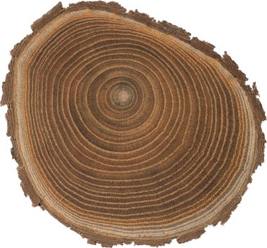 Sandal ağacı temel makro