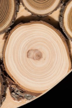 Ardıç çekirdek makro