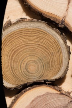 Sandal ağacı temel makro