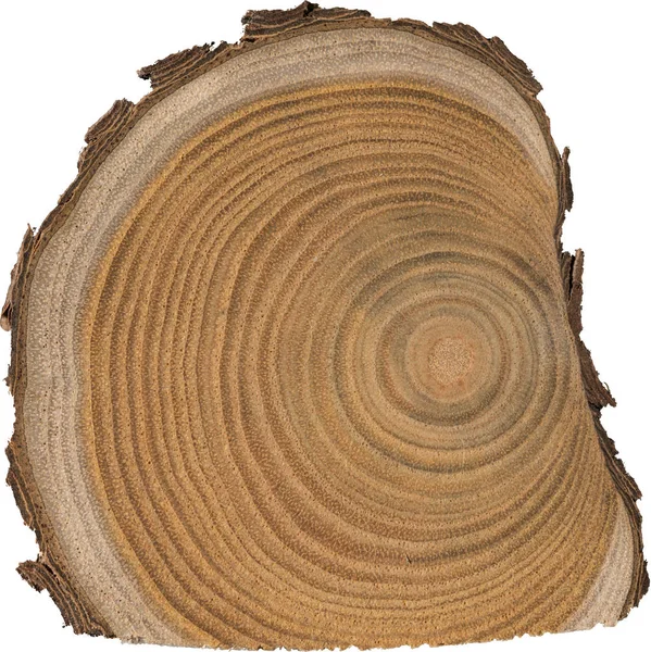 Sandal ağacı temel makro