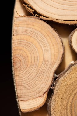 Çekirdek ardıç ve sandal ağacı arka plan