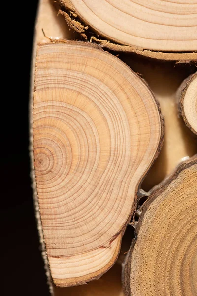 Çekirdek ardıç ve sandal ağacı arka plan