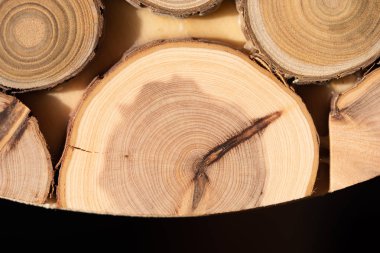 Çekirdek ardıç ve sandal ağacı arka plan