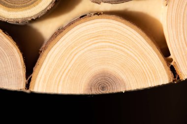 Çekirdek ardıç ve sandal ağacı arka plan