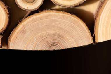 Çekirdek ardıç ve sandal ağacı arka plan