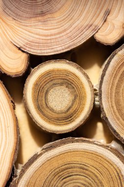 Çekirdek ardıç ve sandal ağacı arka plan