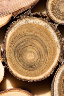 Çekirdek ardıç ve sandal ağacı arka plan