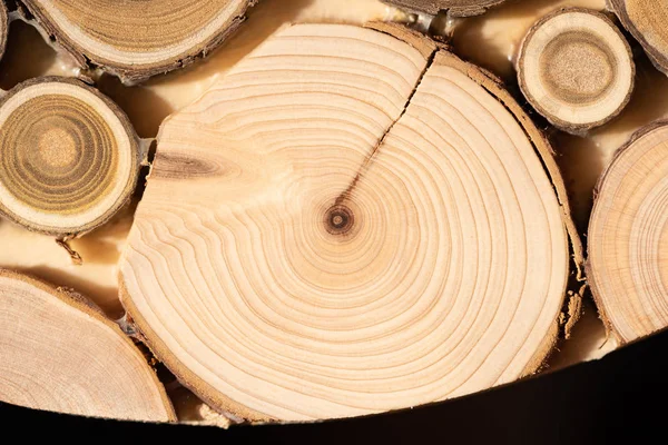 Çekirdek ardıç ve sandal ağacı arka plan