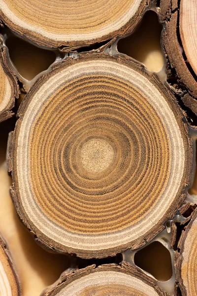 Kern van juniper en sandelhout achtergrond — Stockfoto