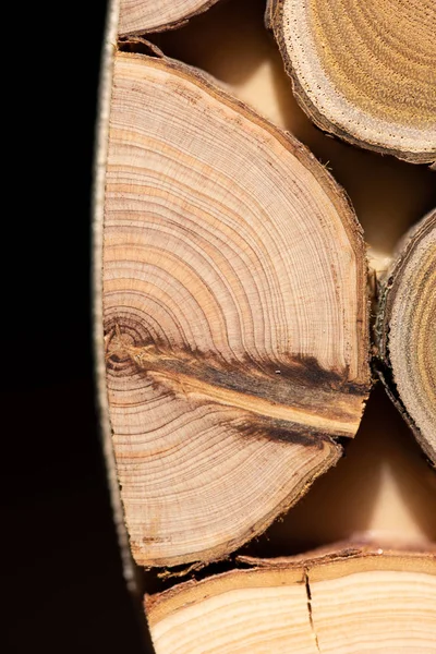 Çekirdek ardıç ve sandal ağacı arka plan