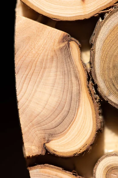 Çekirdek ardıç ve sandal ağacı arka plan