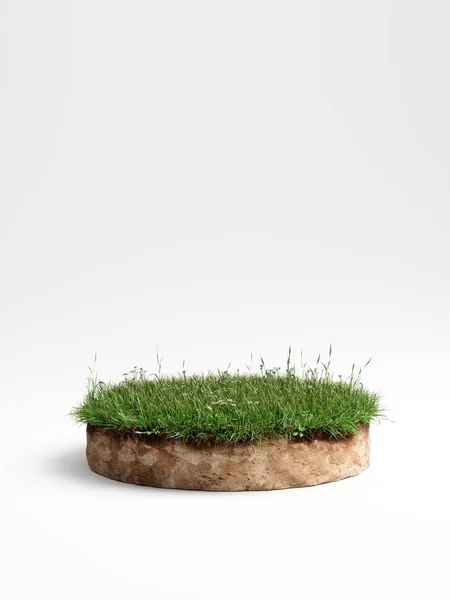 Illustration 3D section transversale ronde du sol avec terre et herbe verte — Photo