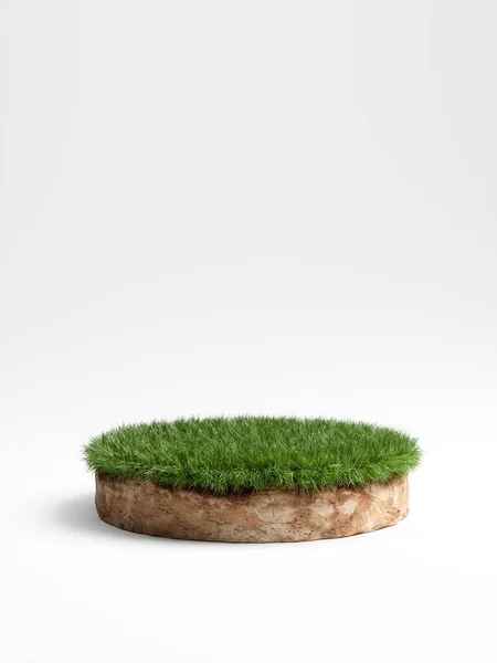 Illustration 3D section transversale ronde du sol avec terre et herbe verte — Photo