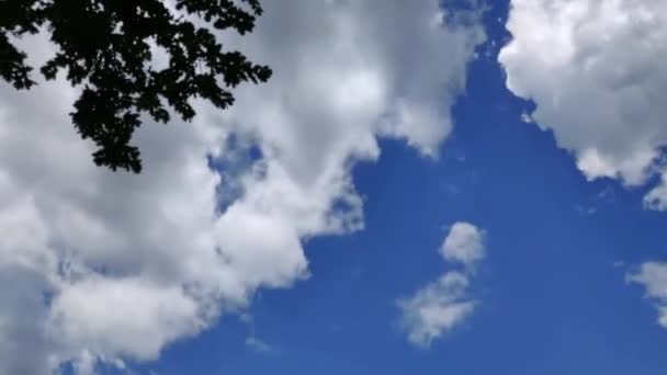 Блакитне небо з хмарами — стокове відео