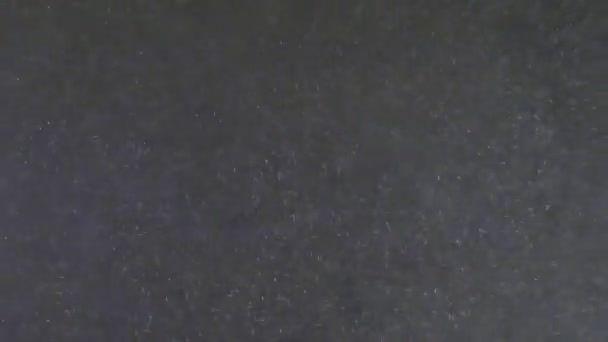 Siedende Wasserblasen Zoomvideo — Stockvideo