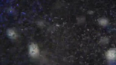 Kaynar su kabarcıklar zoom video