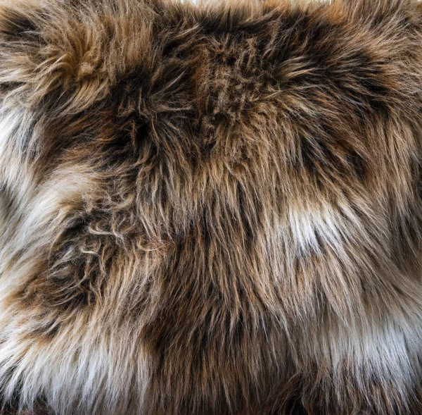 毛皮地毯高分辨率天然纹理 — 图库照片