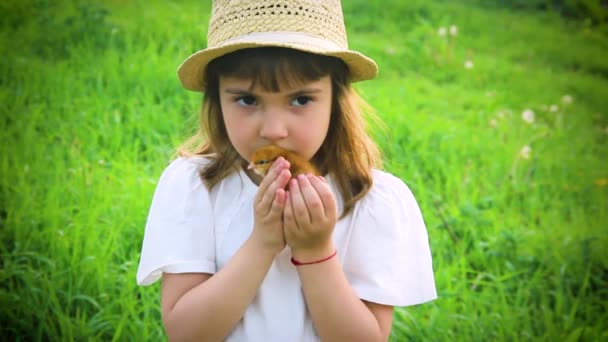 Plaid Piknik Trawie — Wideo stockowe