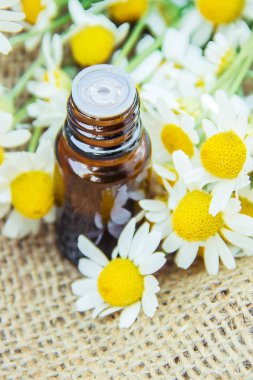 Papatya özü. Şifalı bitkiler.