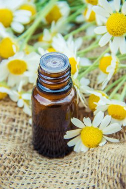 Papatya özü. Şifalı bitkiler.