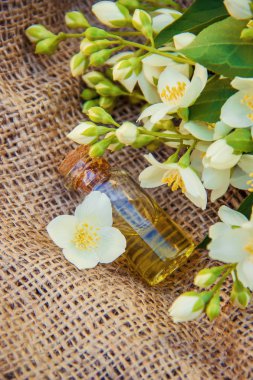 Yasemin esans. seçici odak. 