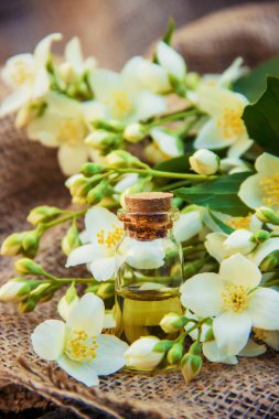 Yasemin esans. seçici odak. 