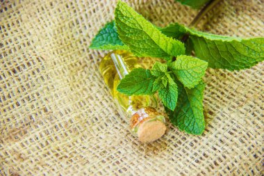 Küçük bir kavanoza nane özü. 