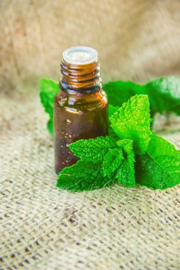 Küçük bir kavanoza nane özü. 