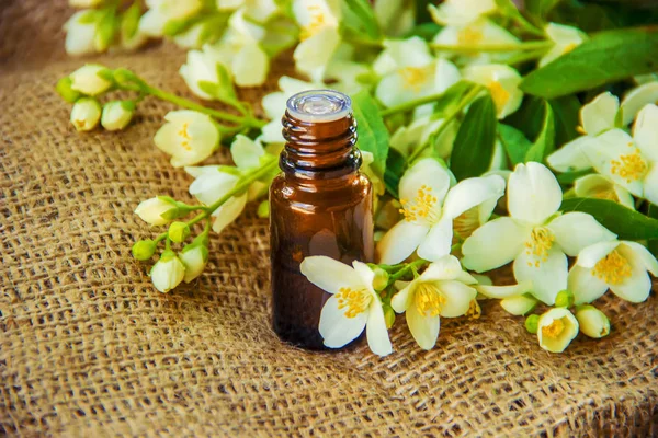 Yasemin esans. seçici odak. 