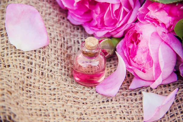 Essential Oil Rose Light Background — Stock Photo, Image