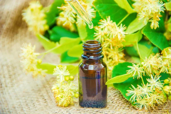 Ihlamur özü ve küçük bir şişe içinde çiçek. 