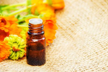 Calendula özü ve küçük bir şişe içinde çiçek. 