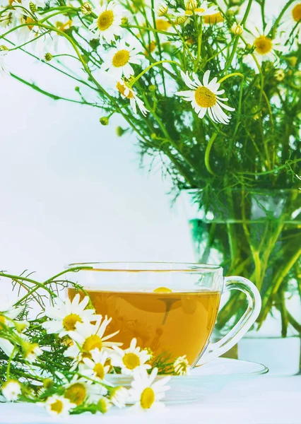Herbaty Rumianku Natura — Zdjęcie stockowe
