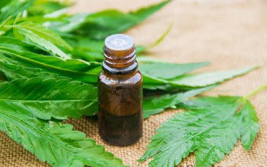 Esrar ot ve yaprak tedavisi için