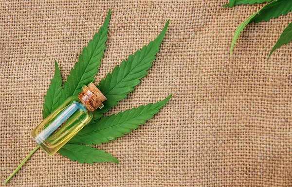 Kannabisznövény Levelek Kezelésére — Stock Fotó