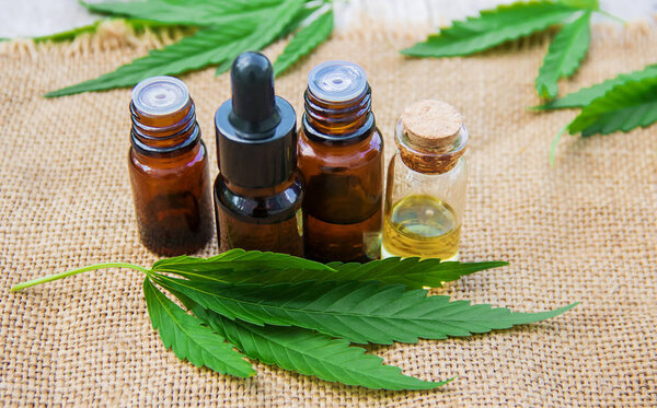 Cannabis herb and leaves for treatment