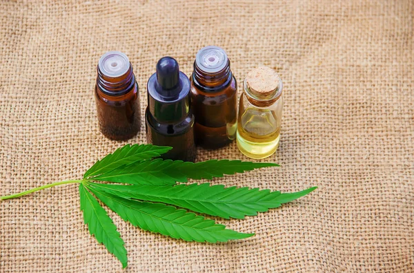 Cannabisblad Och Blad För Behandling — Stockfoto