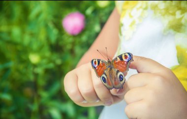 Çocuk elinde bir kelebek ile. Seçici odak.