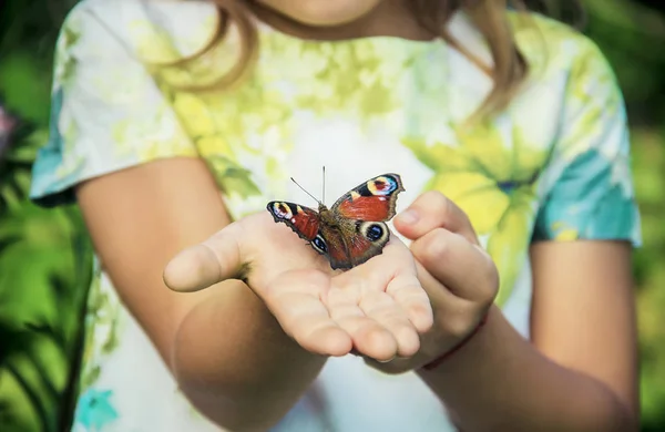 Çocuk elinde bir kelebek ile. Seçici odak.