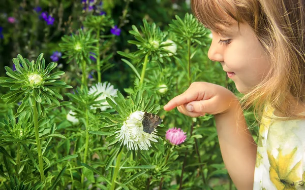 Kind Mit Einem Schmetterling Der Hand Selektiver Fokus — Stockfoto