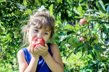 Çocuk bahçede elma yiyor. Seçici odak.
