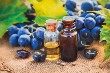 küçük bir kavanoza üzüm çekirdeği ekstresi. Seçici odak.