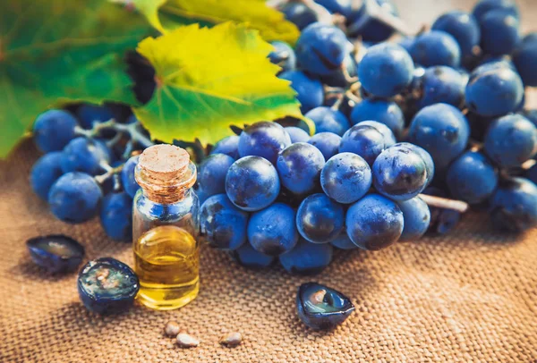 küçük bir kavanoza üzüm çekirdeği ekstresi. Seçici odak.