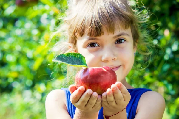 Das Kind isst einen Apfel im Garten. Selektiver Fokus. lizenzfreie Stockfotos